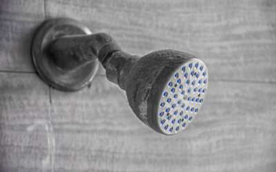 The Best Showerhead For 2021