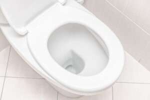 How to prevent toilet clogs