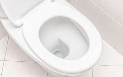 How To Prevent Toilet Clogs