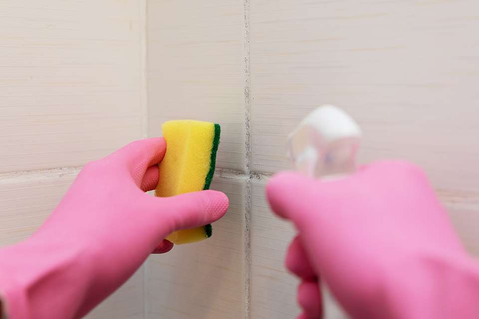 How To Clean Mold Without Bleach