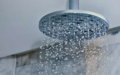 The Best Eco-Friendly Shower Head