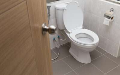 How Do Toilets Work?