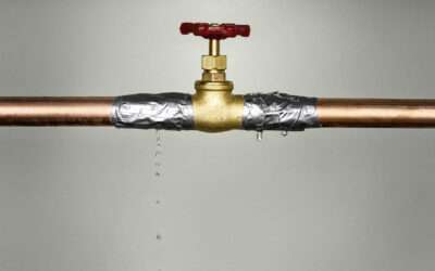 Debunking Common Commercial Plumbing Myths