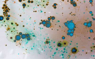 Battling Bathroom Mold: What You Need to Know