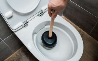 Got a Clogged Toilet? No Plunger? No Problem!