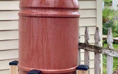 Boost Your Yard’s Drainage with a Catch Basin