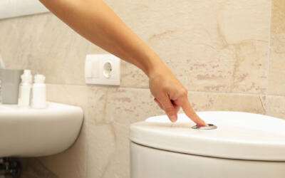 Choosing Your Next Toilet: Push-Button or Handle-Flush?